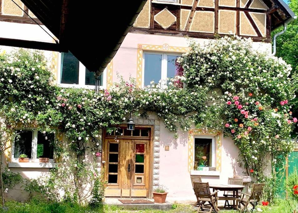 Appartement Kleine Kunstremise Mit Holzofen Burg Freienfels à Weinbach Extérieur photo